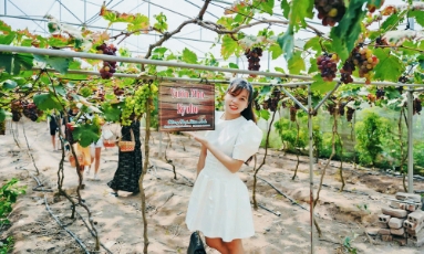  Điểm đến